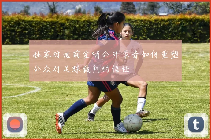 独家对话前金哨公开录音如何重塑公众对足球裁判的信任